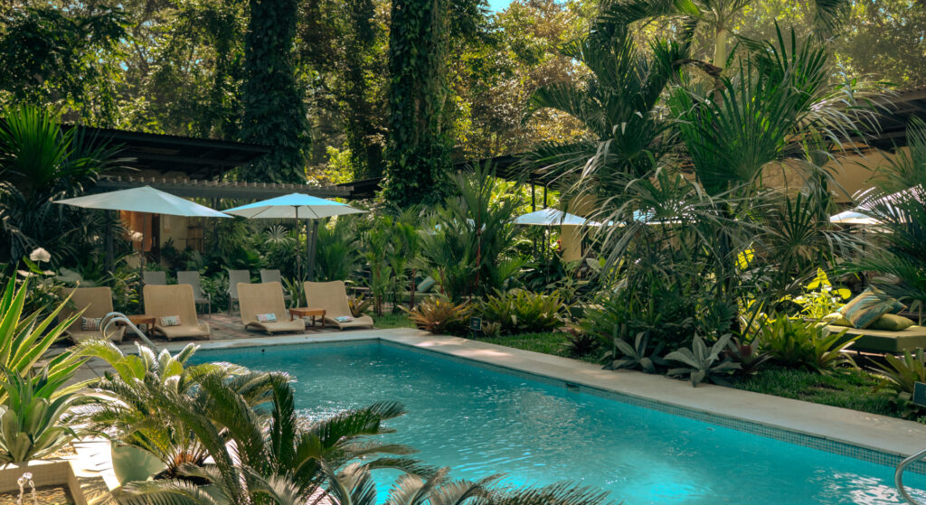 best vacation destination in Puerto Viejo Costa Rica