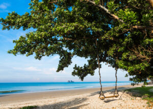 Best Beaches Near Puerto Viejo Costa Rica
